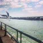 salerno italia italy campania trivago