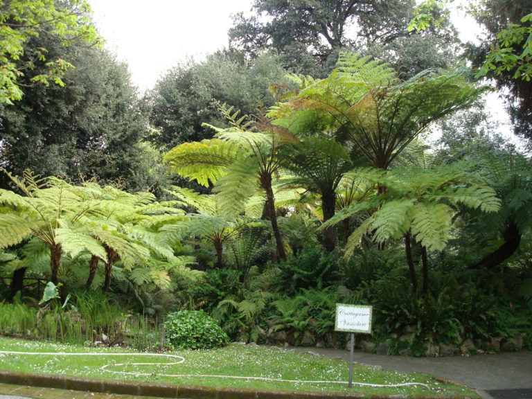 orto botanico, naples, napoli, napels, salerno, salerno travel, campania, italia, italie, italy