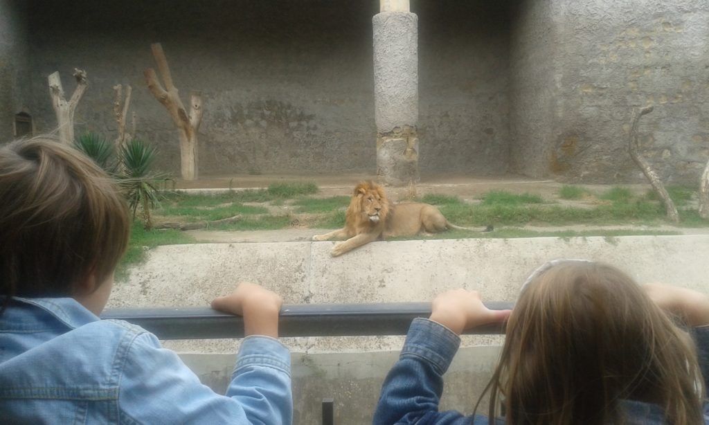 dierentuin, zoo, napels, naples, napoli, kids, kinderen, salerno, salerno travel, kindvriendelijk napels