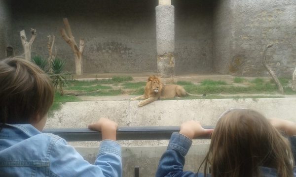 dierentuin napels kinderen