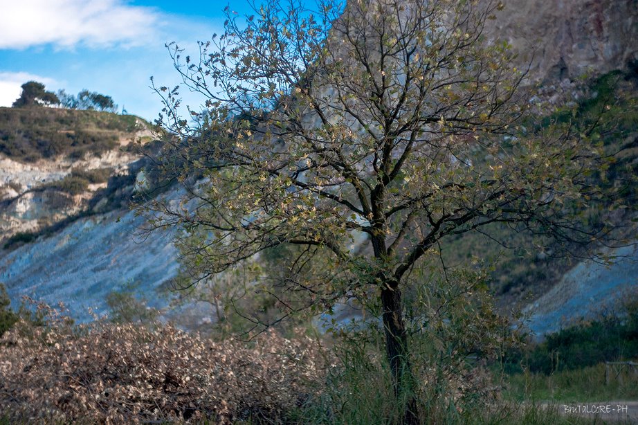 solfatara, campi flegrei, napels, napoli, vulkaan