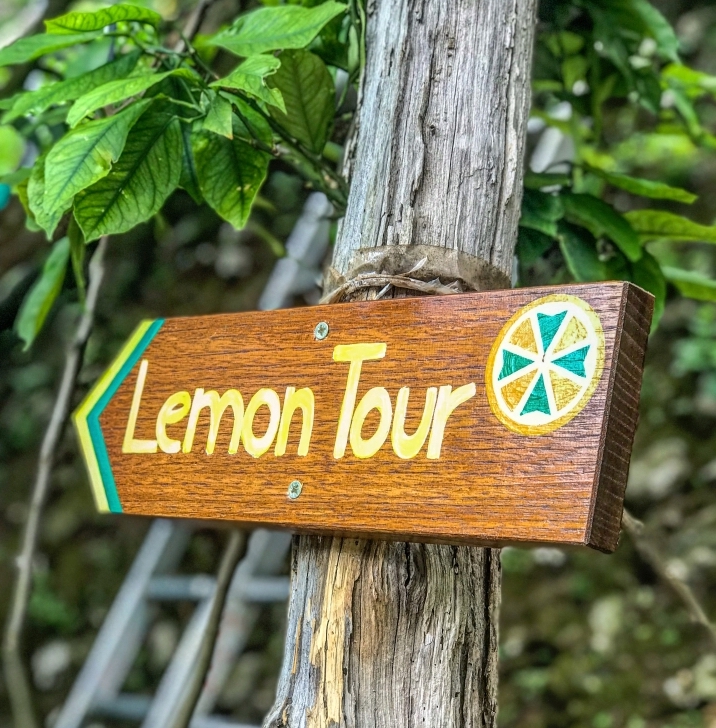 lemon tour amalfi