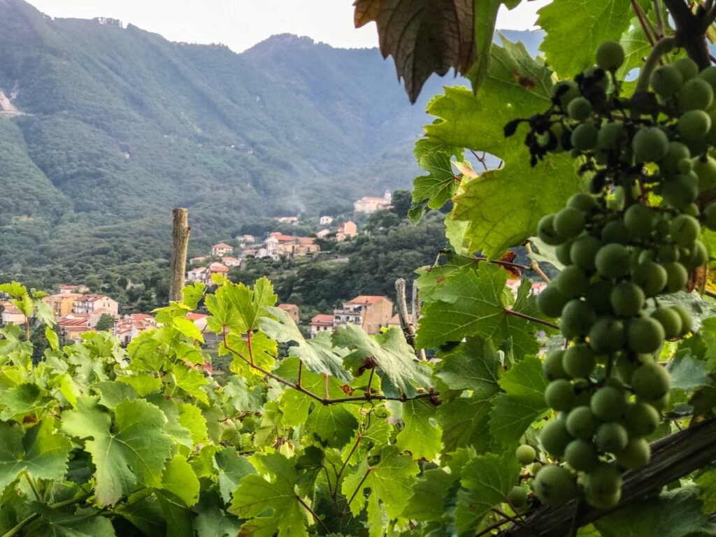 tramonti amalfi amalfikust salerno 