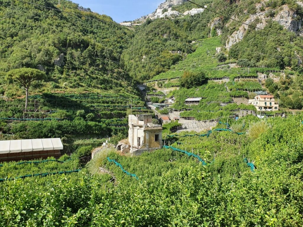 vietri albori wandeling amalfikust salerno