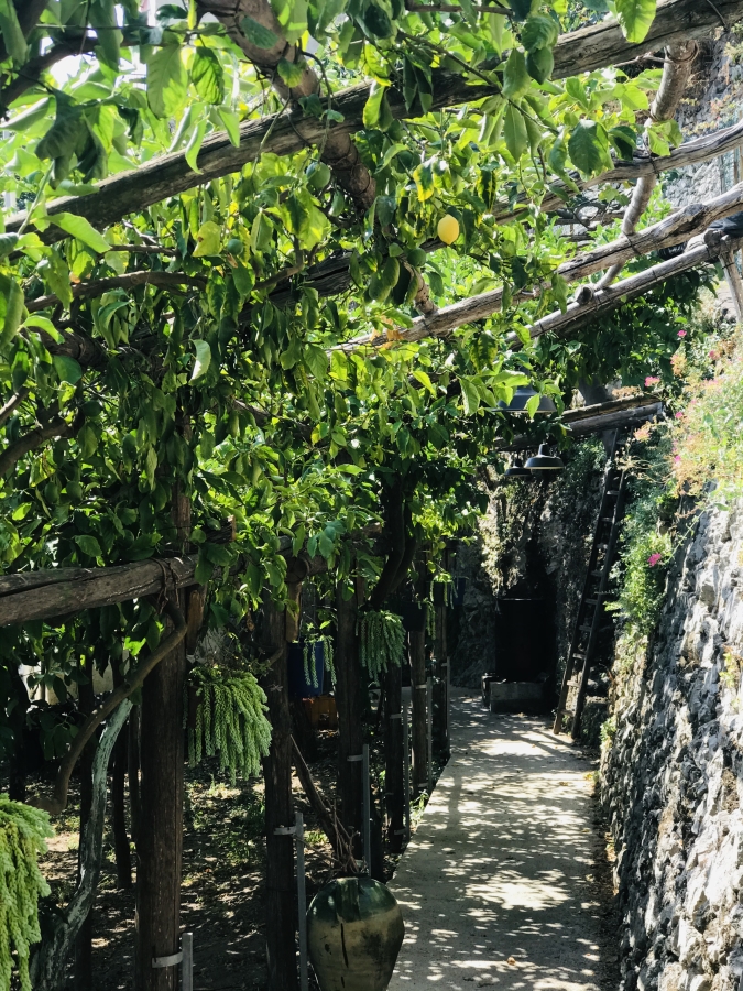 sentiero dei limoni amalfikust wandeling citroenen