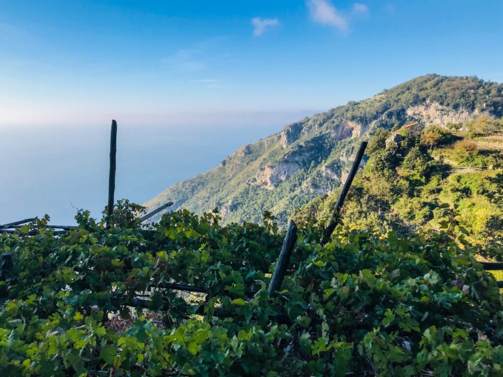 wandelen amalfikust agerola praiano