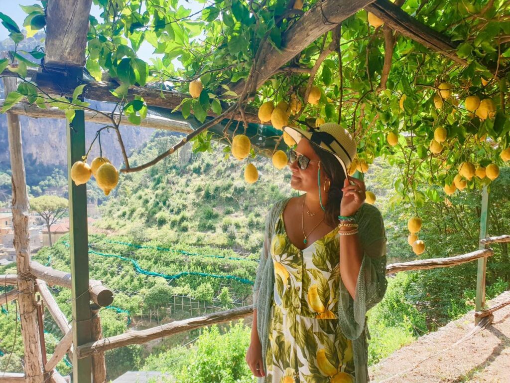 lemon tour amalfi