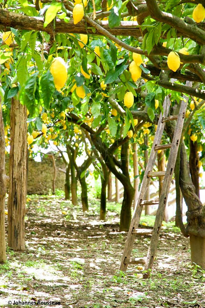 agriturismo minori amalfikust