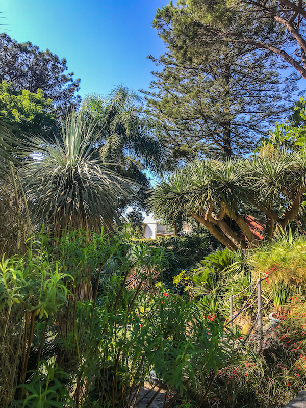 la mortella ischia tuin