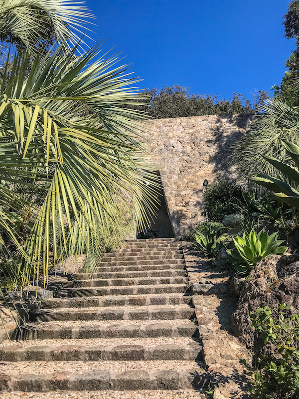 tempio sole ischia mortella 