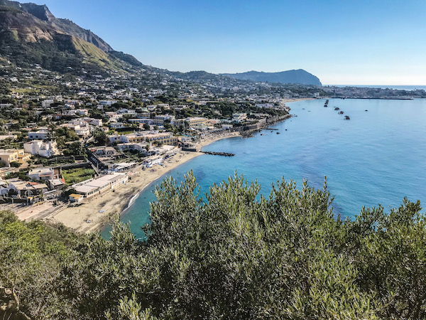 ischia forio beklvedere