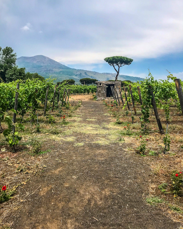 wijnproeverij napels cantina del vesuvio