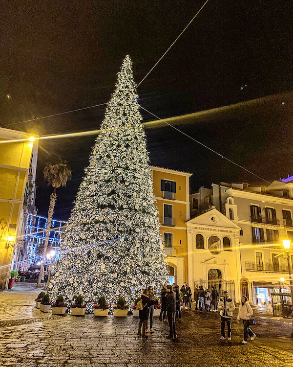 kerst salerno luci dartista kerstboom