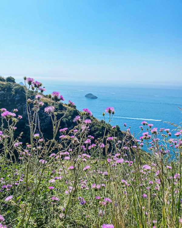 fiordo crapolla sorrento wandeling