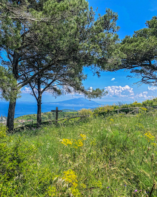 monte san costanzo vesuvius wandeling sorrento