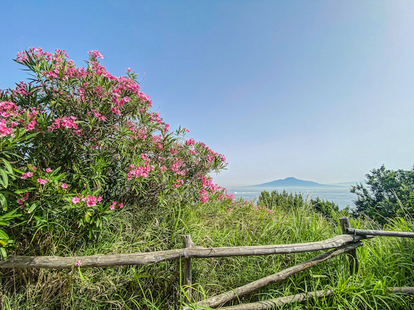 wandeling sorrento vesuvius