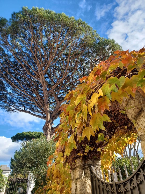 herfst capri eiland napels