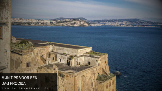 tips dag procida