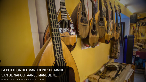 la bottega del mandolino napels